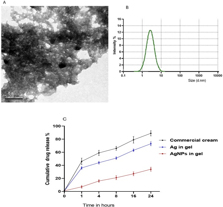 Figure 1