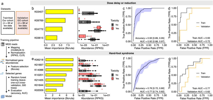 Microbial gene abundance predicts capecitabine-related toxicities. 4 KEGG orthologs predict with dose delay or reduction, while 7 KEGG orthologs predict hand-foot syndrome, validated with moderate AUC scores.