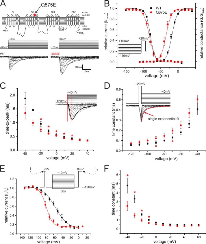 FIGURE 1.