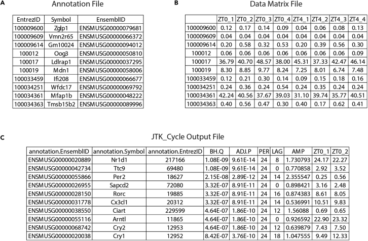 Figure 4