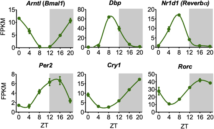 Figure 3