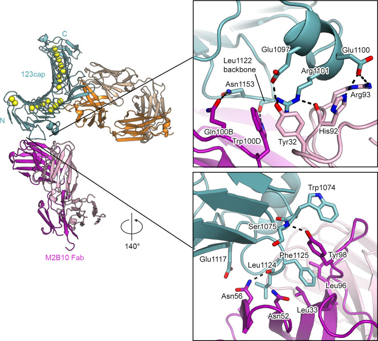 Fig 4