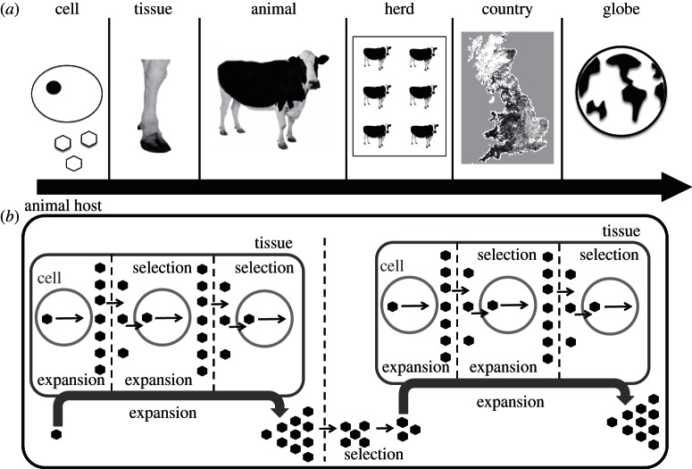 Figure 1.