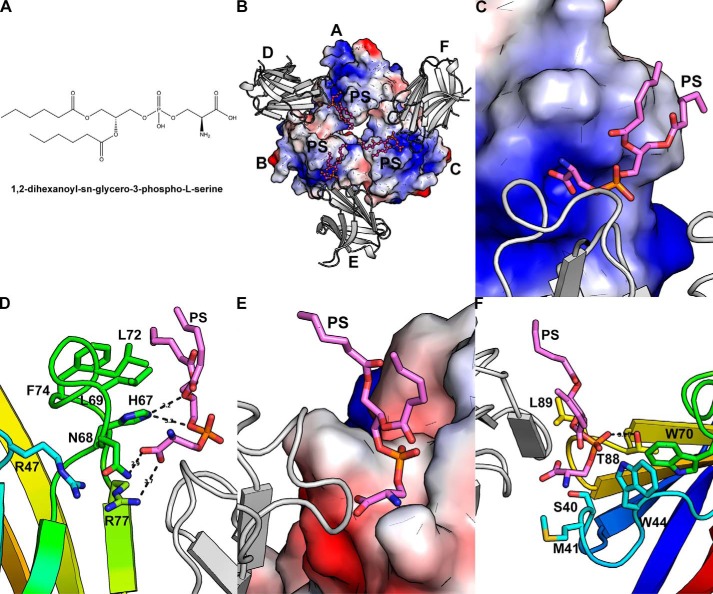 Figure 5.