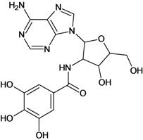 graphic file with name molecules-18-05032-i024.jpg