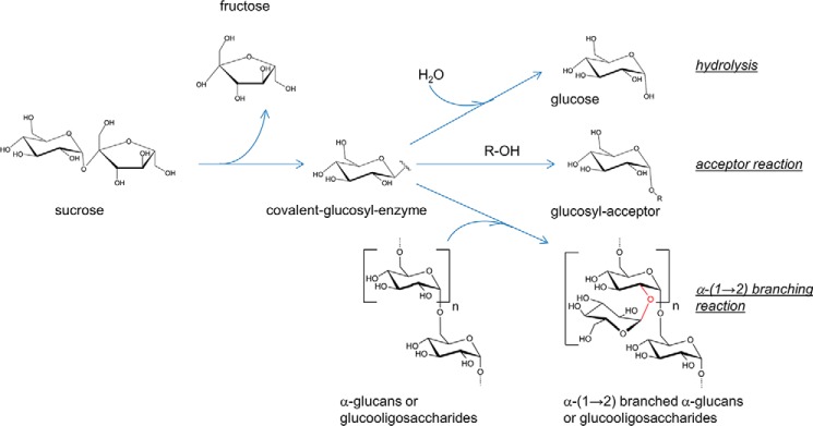 FIGURE 1.