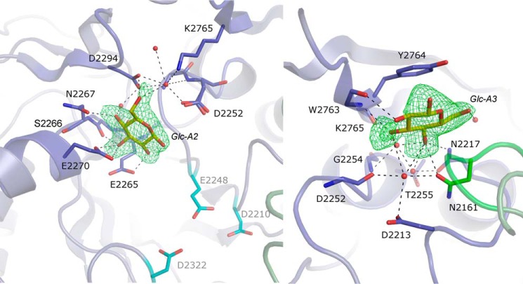 FIGURE 5.