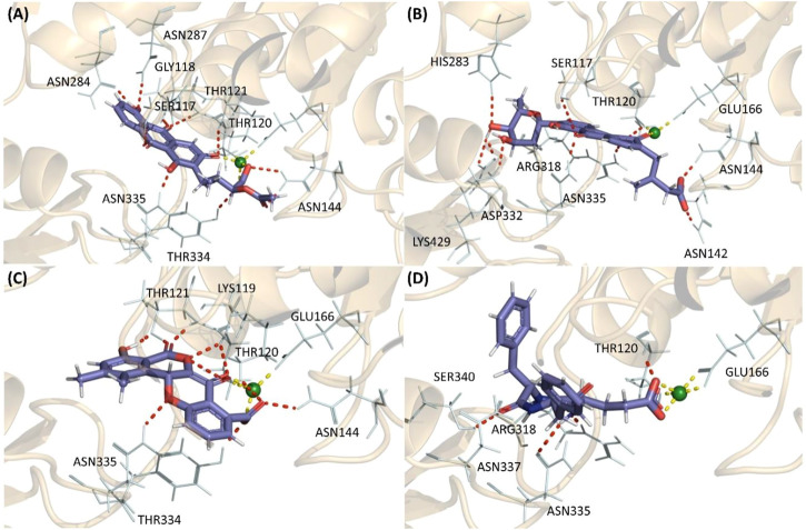 FIGURE 2