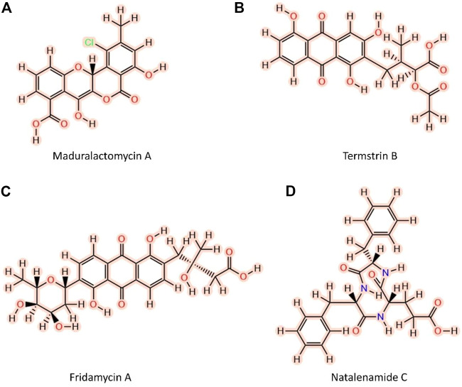 FIGURE 1