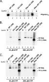 FIG. 3.