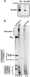 FIG. 5.
