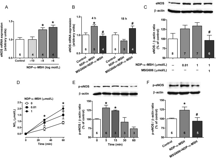 Figure 5