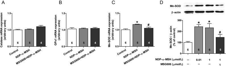 Figure 6