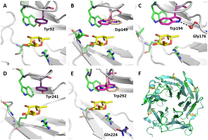 Fig 2