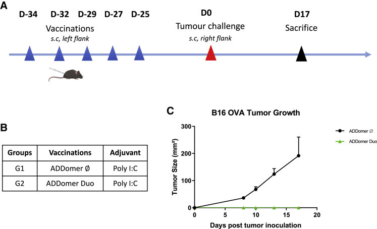 Figure 3