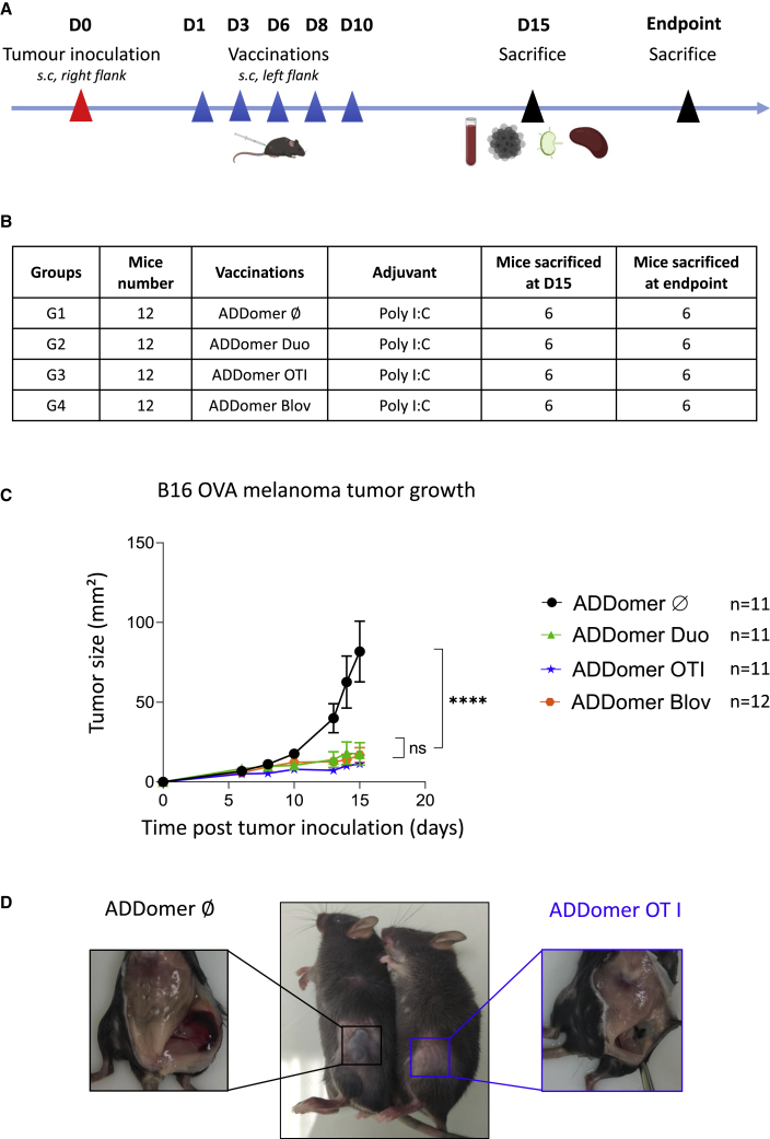 Figure 4