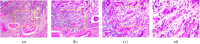 Figure 1.