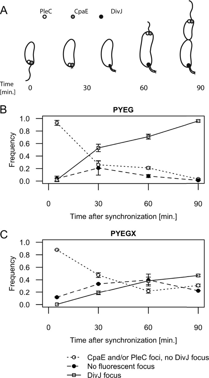 FIG 4