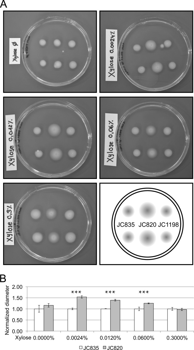 FIG 3