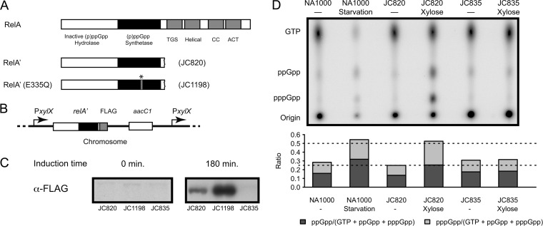 FIG 1