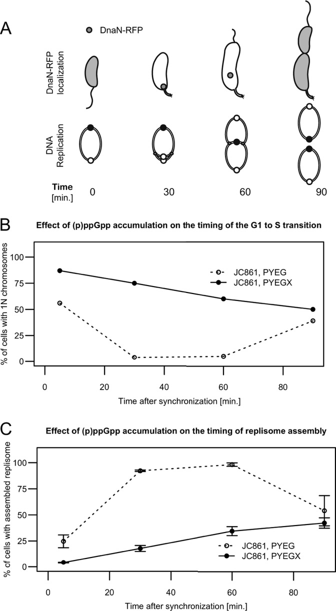 FIG 6