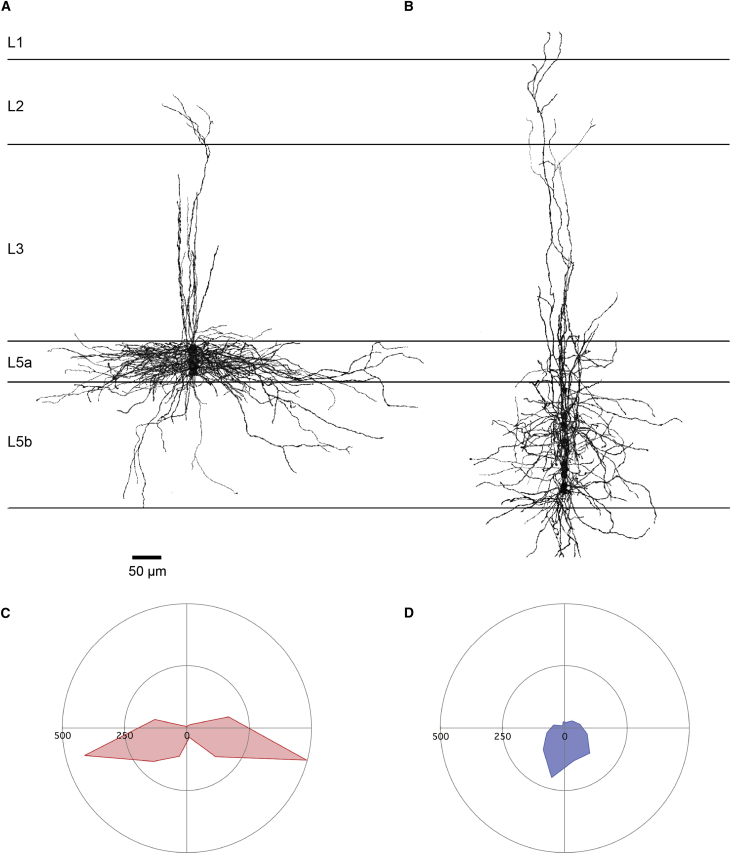 Figure 5