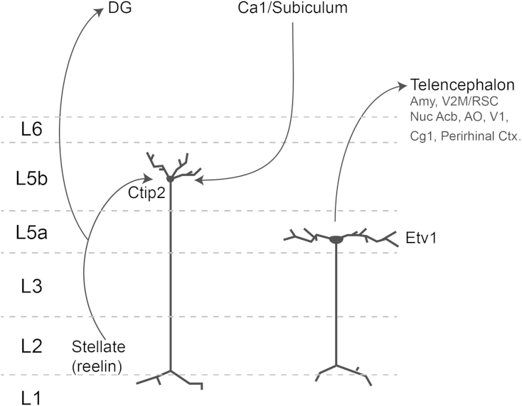 Figure 7