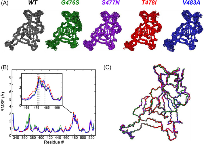 FIGURE 5