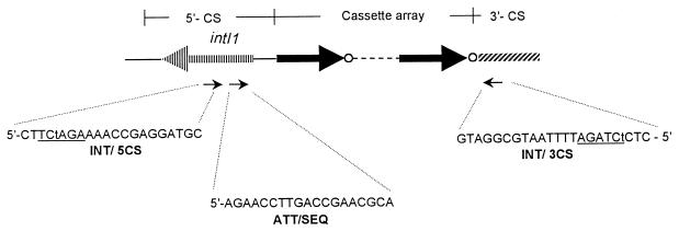 FIG. 1