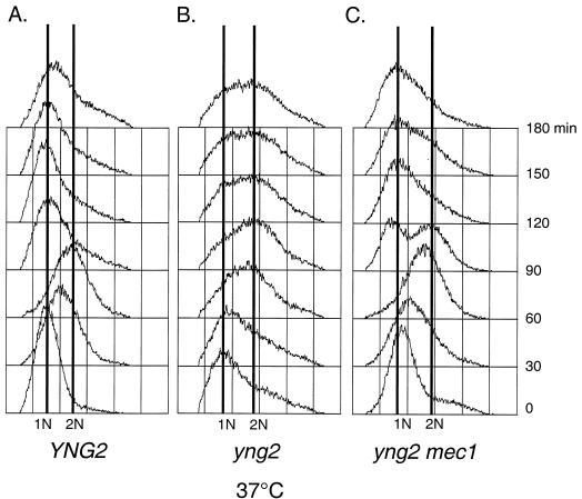 FIG. 6.