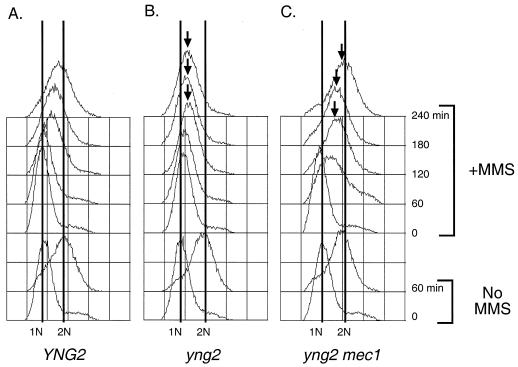 FIG. 2.