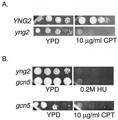 FIG. 7.