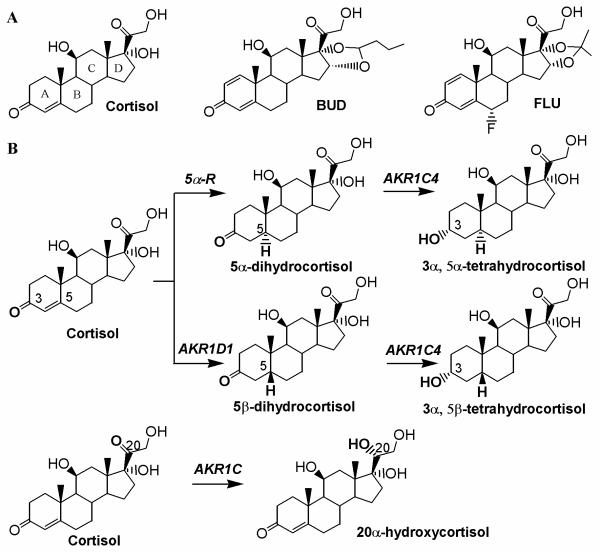 Fig.1