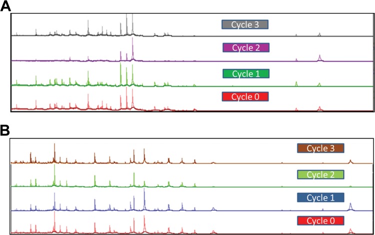 FIG 3