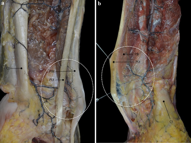 Fig. 5