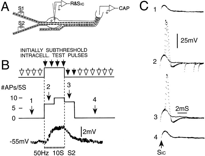 Fig. 3.