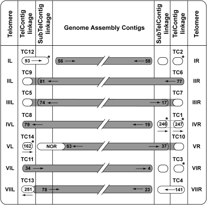 Figure 2.—