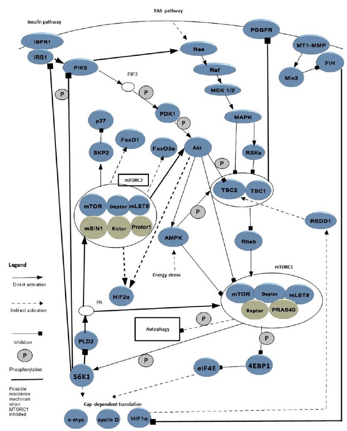 Fig. (1)