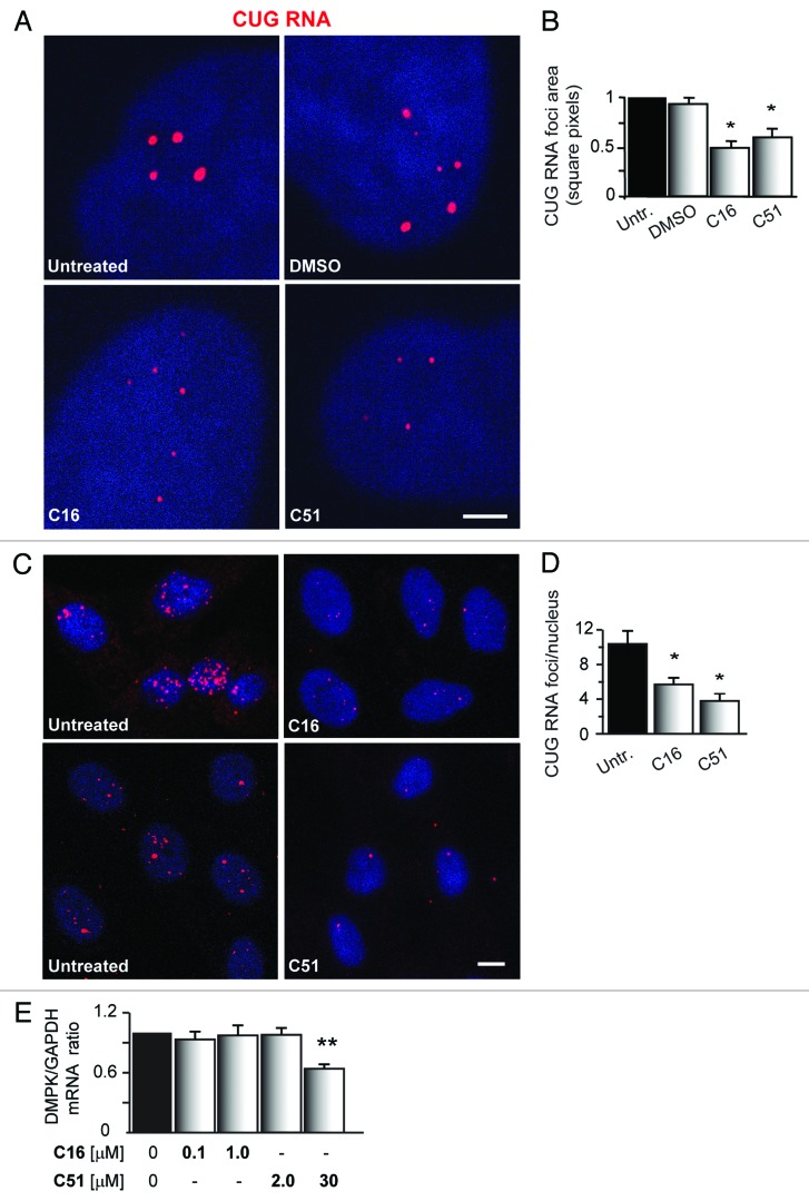 graphic file with name rna-11-742-g4.jpg