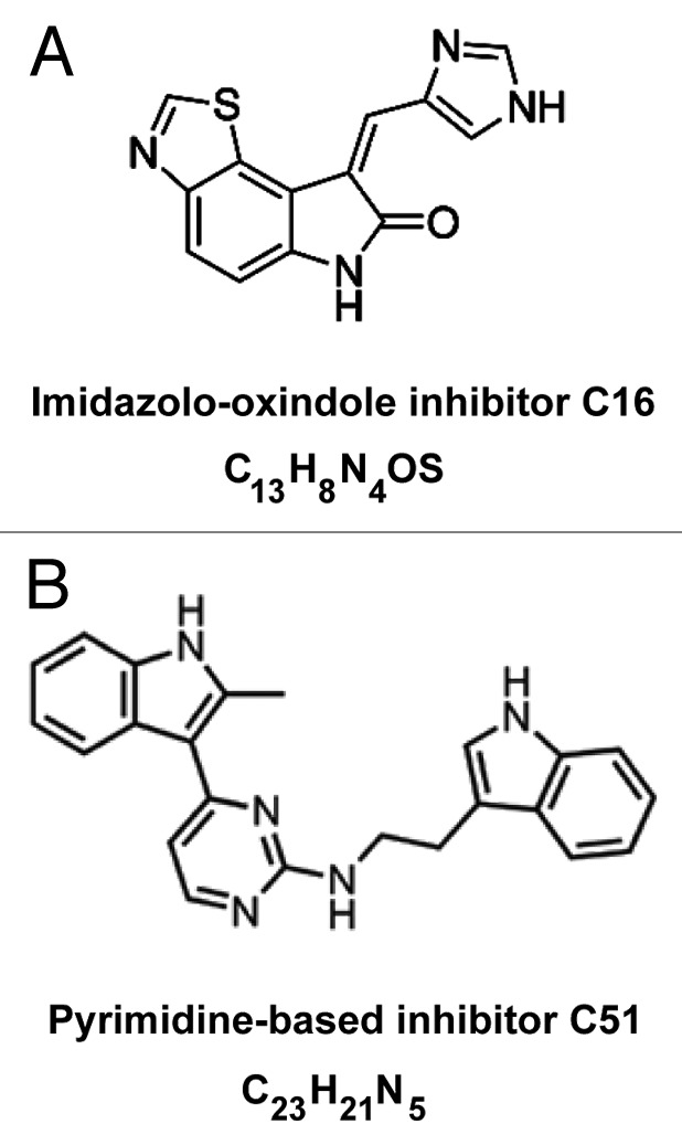 graphic file with name rna-11-742-g1.jpg