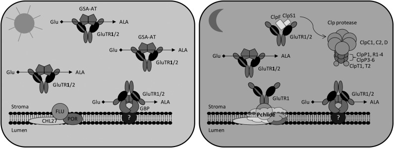 Figure 7.