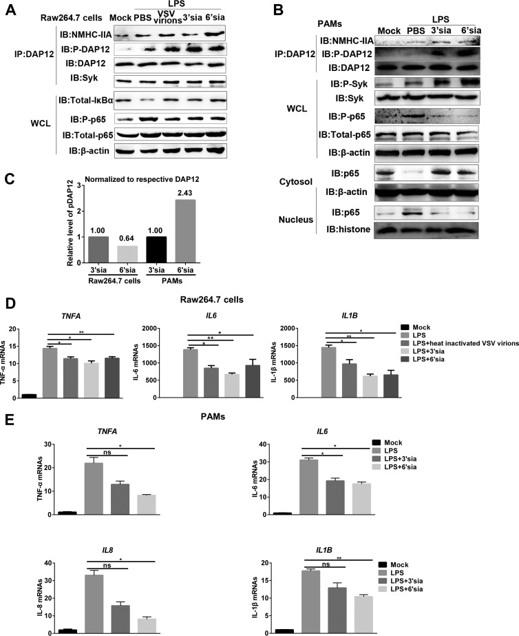 FIG 6