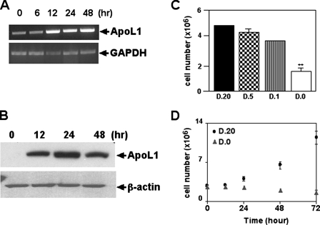 FIGURE 2.