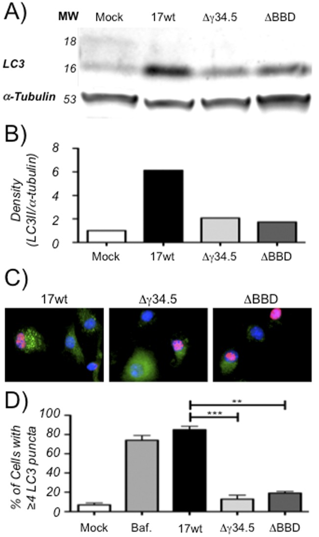 FIG 1