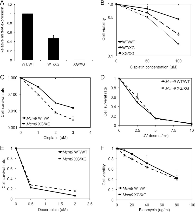 Fig 4