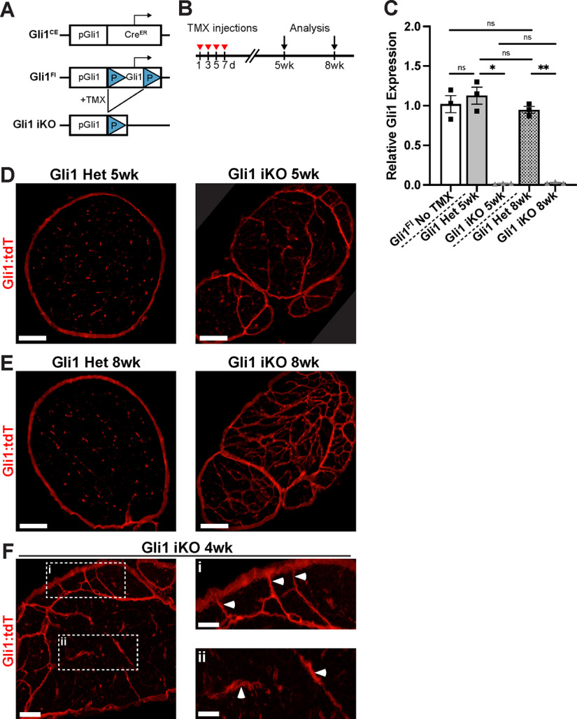 Figure 11.