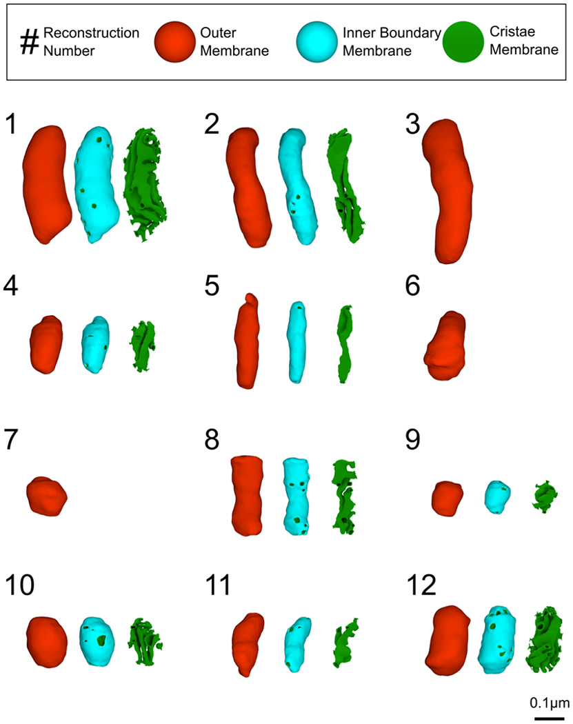 FIGURE 3