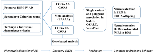 Figure 1: