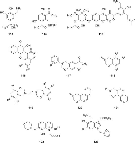 Fig. 22