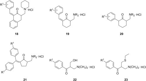 Fig. 5